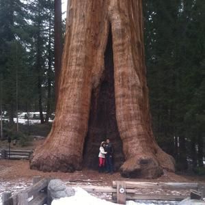 Meet your Posher, Bobbie